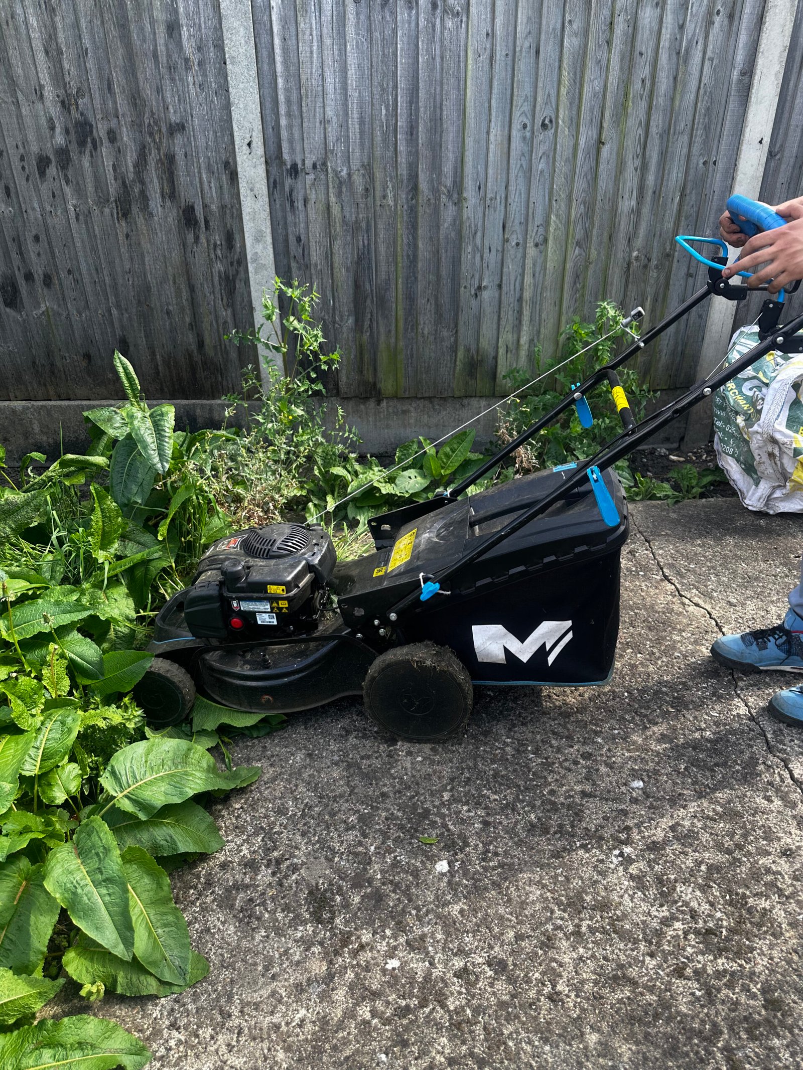 london elite gardening in redbridge 1
