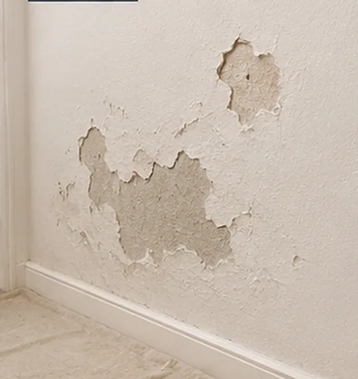 damaged-wall-repair-redbridge copy